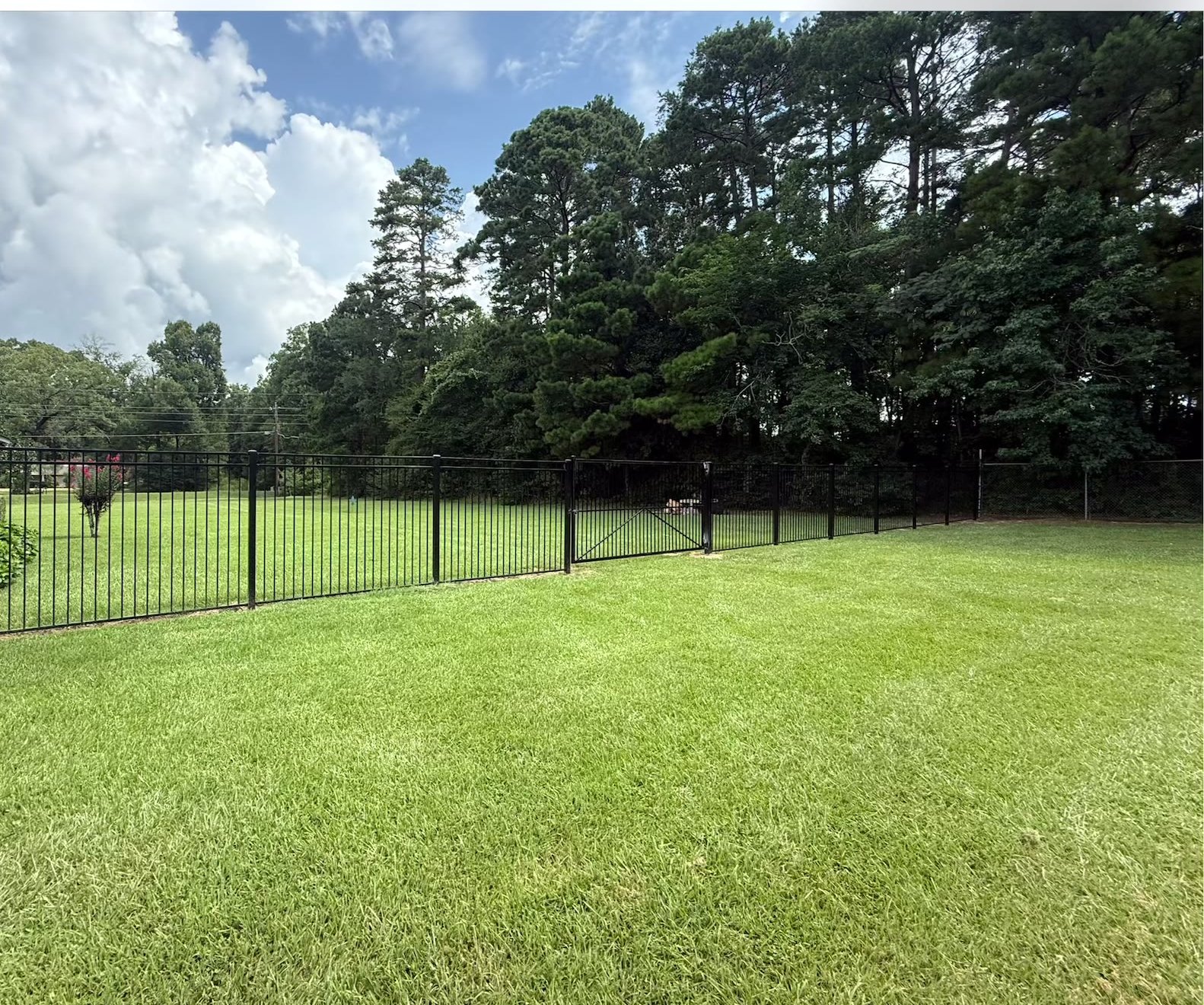 Ornamental Iron